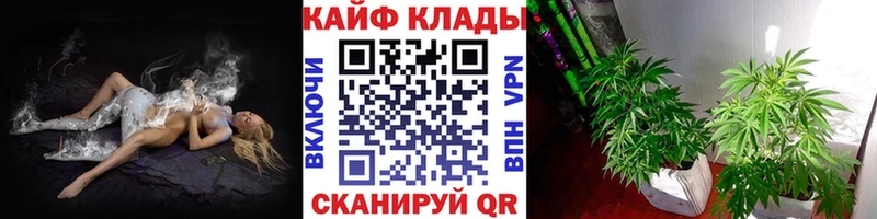 Где купить Богородск ГАШИШ  ГЕРОИН  Меф  АМФЕТАМИН 
