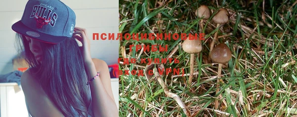 гидропоника Абдулино